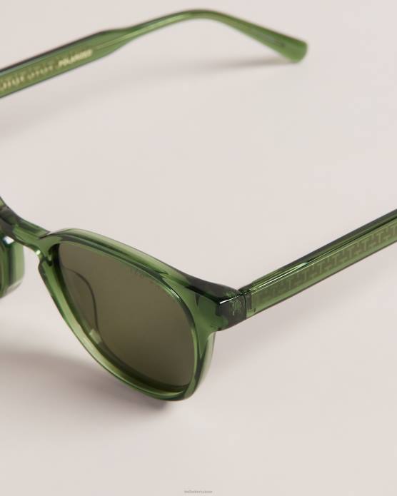 Ted Baker Hommes 60VD1936 accessoires lunettes de soleil monochromes classiques granavi vert