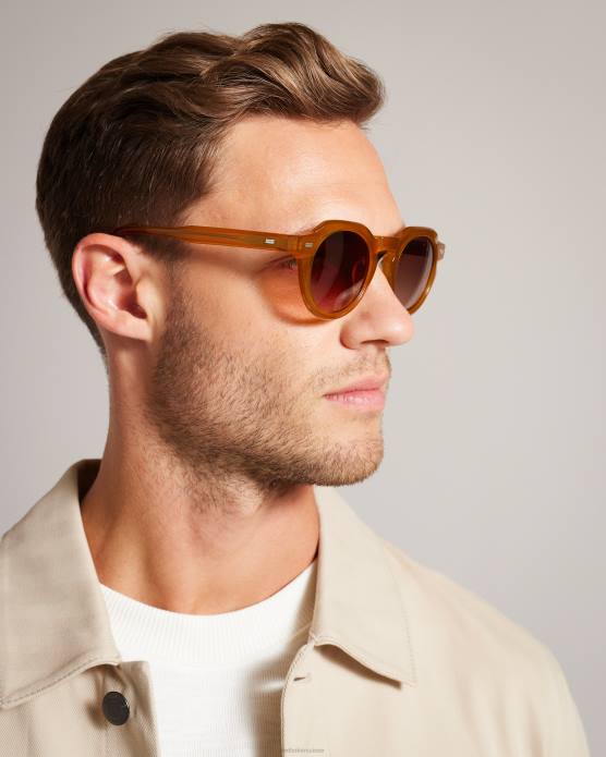Ted Baker Hommes 60VD1937 accessoires lunettes de soleil rondes à dessus plat chérie Miel