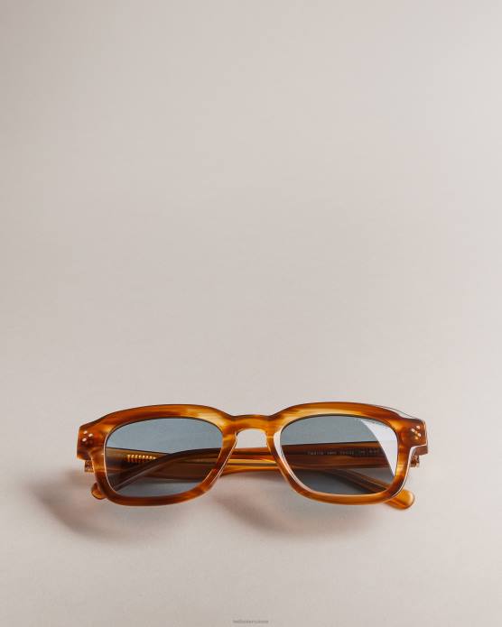 Ted Baker Hommes 60VD1958 accessoires lunettes de soleil à monture carrée classique trtshel écaille de tortue