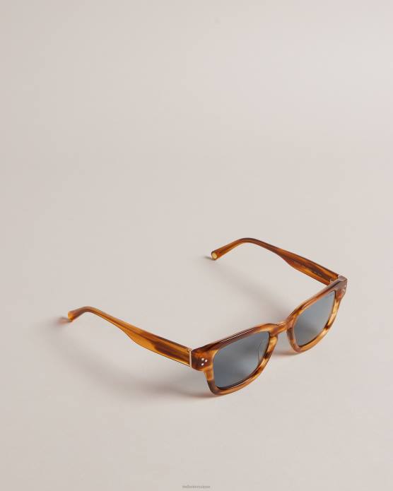 Ted Baker Hommes 60VD1958 accessoires lunettes de soleil à monture carrée classique trtshel écaille de tortue
