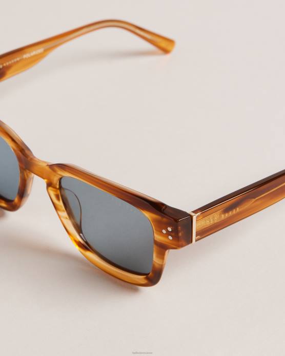 Ted Baker Hommes 60VD1958 accessoires lunettes de soleil à monture carrée classique trtshel écaille de tortue