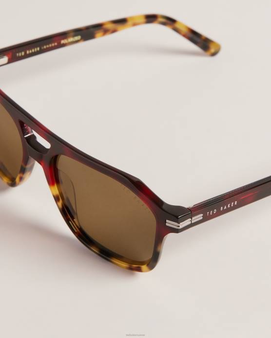 Ted Baker Hommes 60VD2046 accessoires grosses lunettes de soleil aviateur Tortavi écaille de tortue