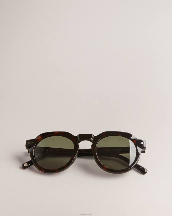 Ted Baker Hommes 60VD2053 accessoires lunettes de soleil rondes toriti en écaille de tortue écaille de tortue