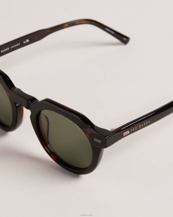 Ted Baker Hommes 60VD2053 accessoires lunettes de soleil rondes toriti en écaille de tortue écaille de tortue