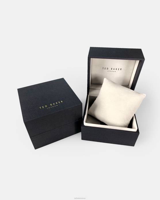 Ted Baker Hommes 60VD1905 accessoires montre à bracelet en maille mimose couleur argent