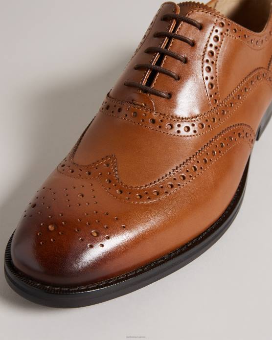 Ted Baker Hommes 60VD1844 chaussures amaiss chaussures richelieu en cuir formelles bronzer