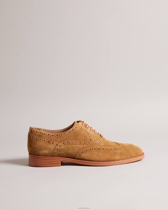 Ted Baker Hommes 60VD1849 chaussures ammais chaussures richelieu en daim formelles bronzer