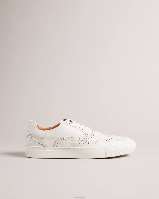 Ted Baker Hommes 60VD1855 chaussures chaussures richelieu hybrides en cuir bruni Dentton naturel