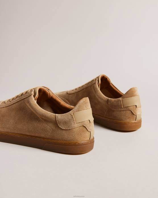 Ted Baker Hommes 60VD1817 chaussures baskets basses en daim evrens brun clair
