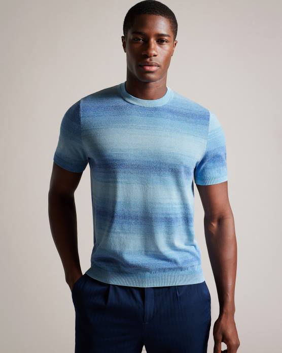 Ted Baker Hommes 60VD1299 vêtements notte - t-shirt à manches courtes et rayures ombrées bleu foncé
