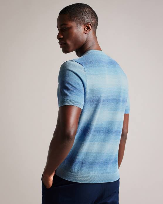 Ted Baker Hommes 60VD1299 vêtements notte - t-shirt à manches courtes et rayures ombrées bleu foncé
