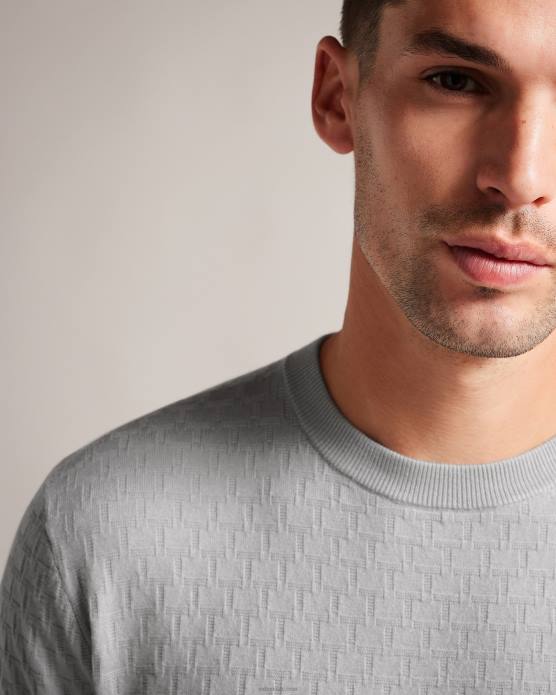 Ted Baker Hommes 60VD1490 vêtements Dartell - Pull à manches longues et col rond surpiqué gris clair