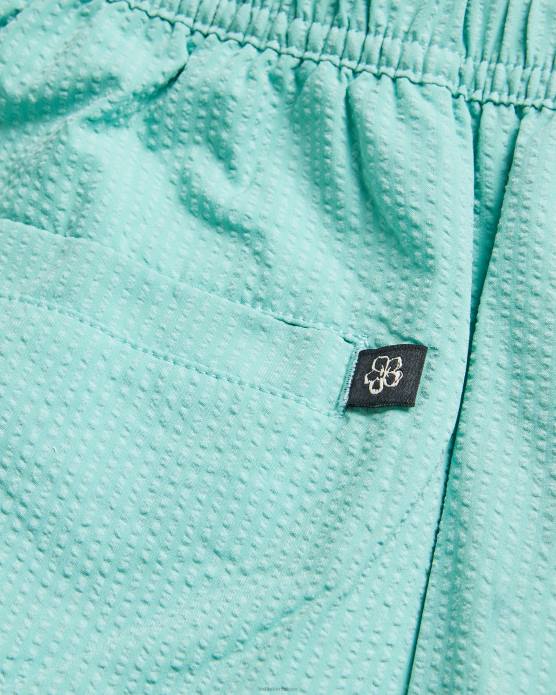Ted Baker Hommes 60VD1453 vêtements short de bain texturé uni colne menthe